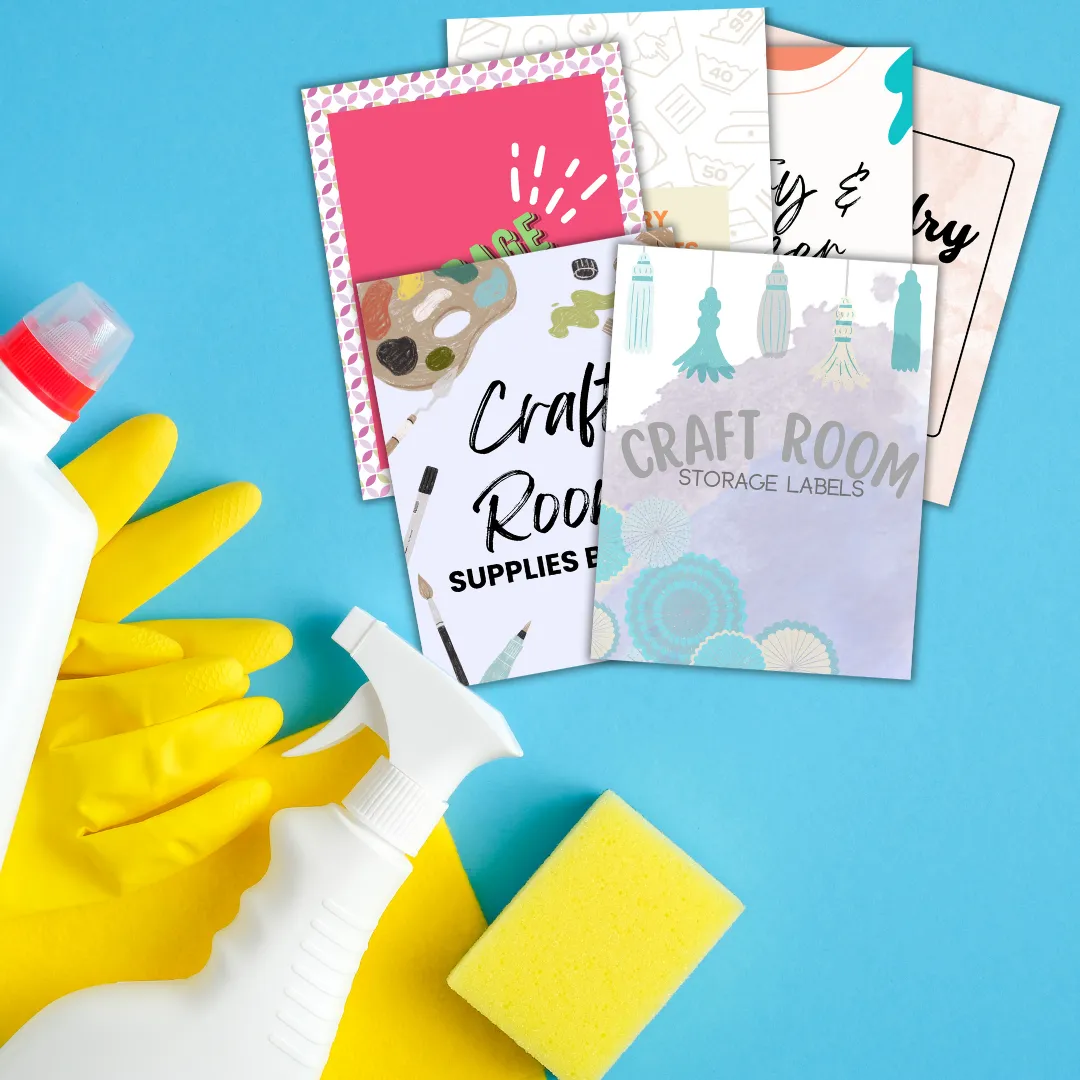 Cleaning & Organizing Bundle