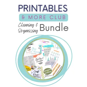 Cleaning & Organizing Bundle