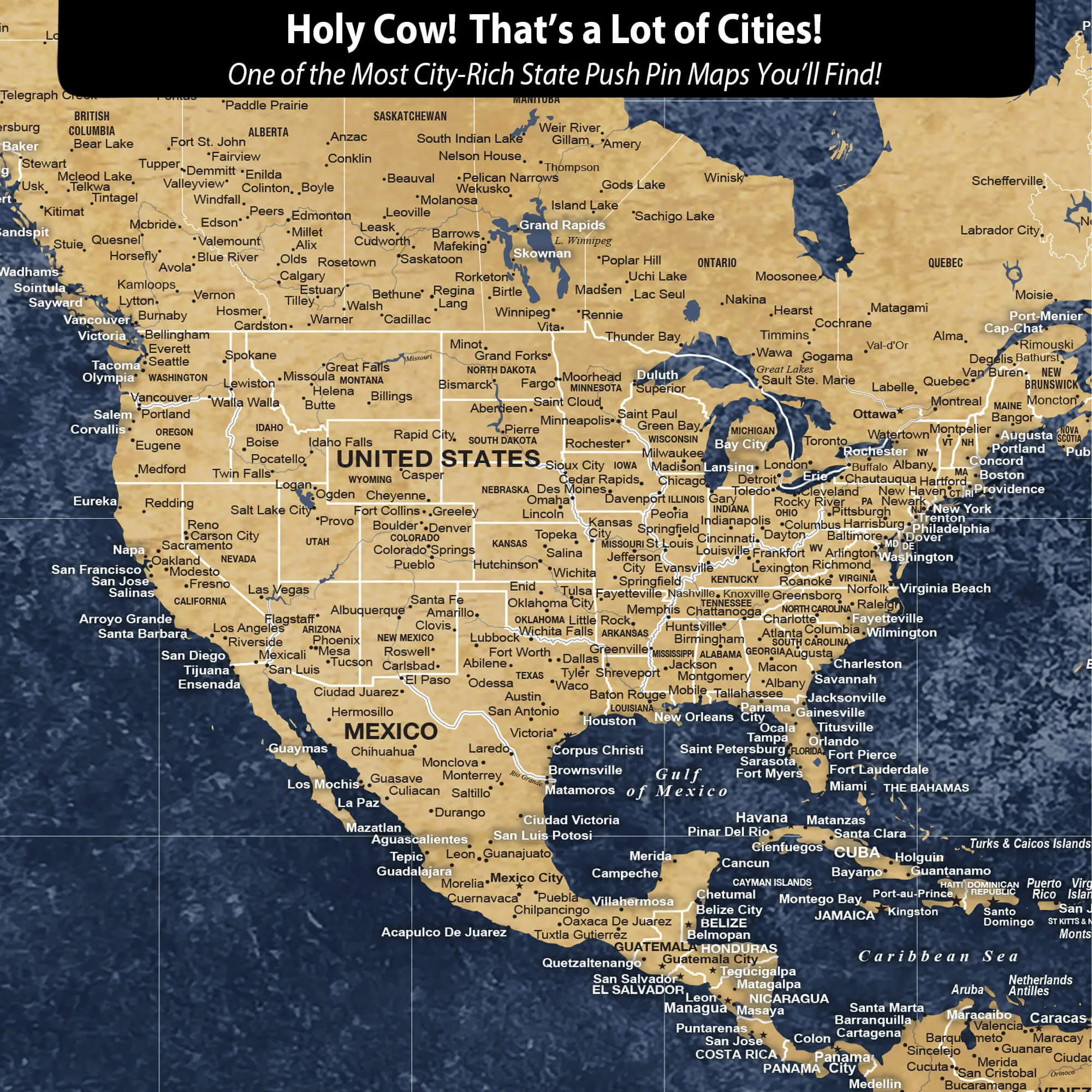 Gold & Navy Textured World Push Pin Map