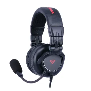 Professional Wired Headphones with Microphone - HB2